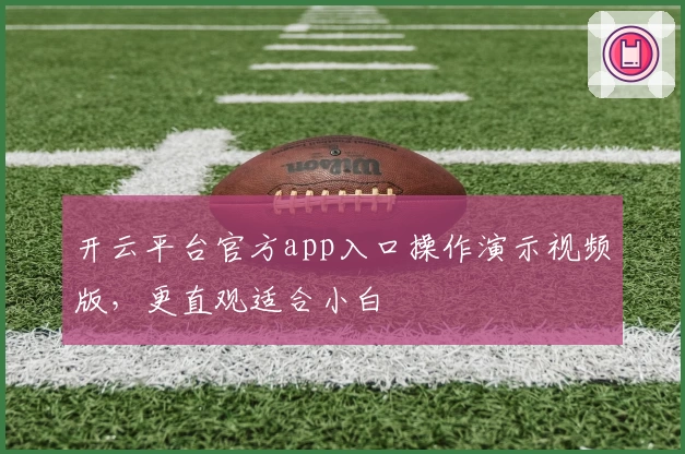 开云平台官方app入口操作演示视频版，更直观适合小白
