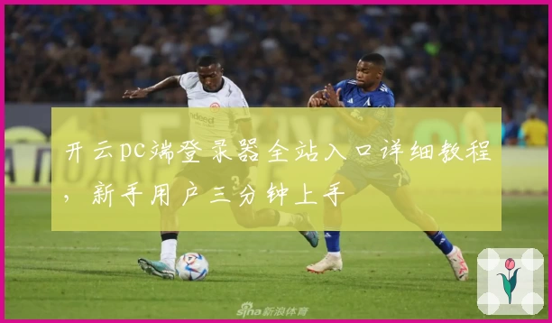 开云pc端登录器全站入口详细教程，新手用户三分钟上手